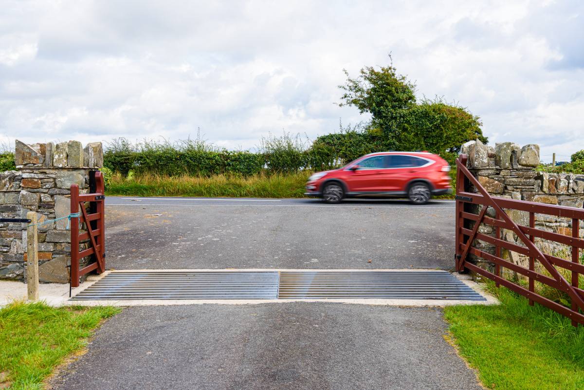 />ALT: Red SUV driving right to left on a paved road at a t-intersection. Viewed through a gate in a fence, with a steel cattle grid.