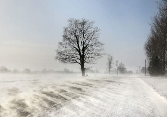 Snow covered rural road, further obscured by blowing ground snow. General outline and direction of road is visible. Tree line on right and widely spaced trees on the left